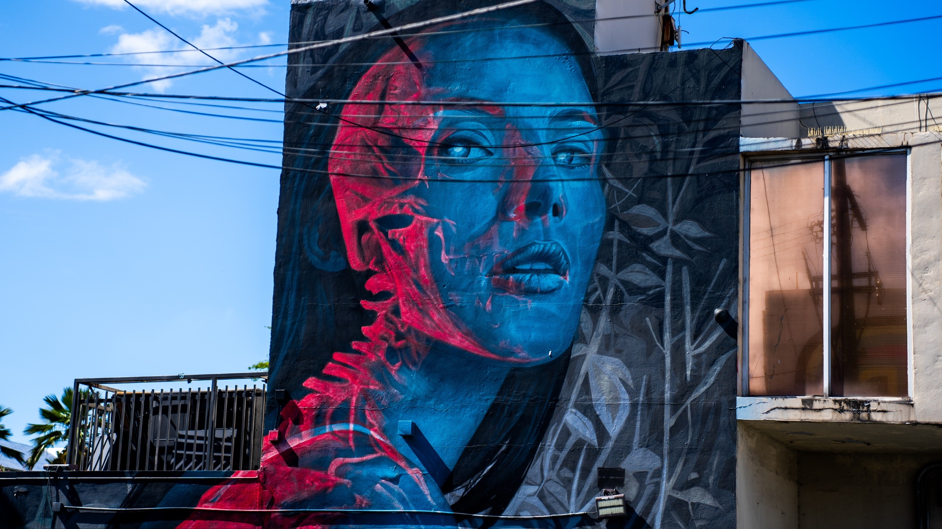 A large blue and red skull mural painted on a city building