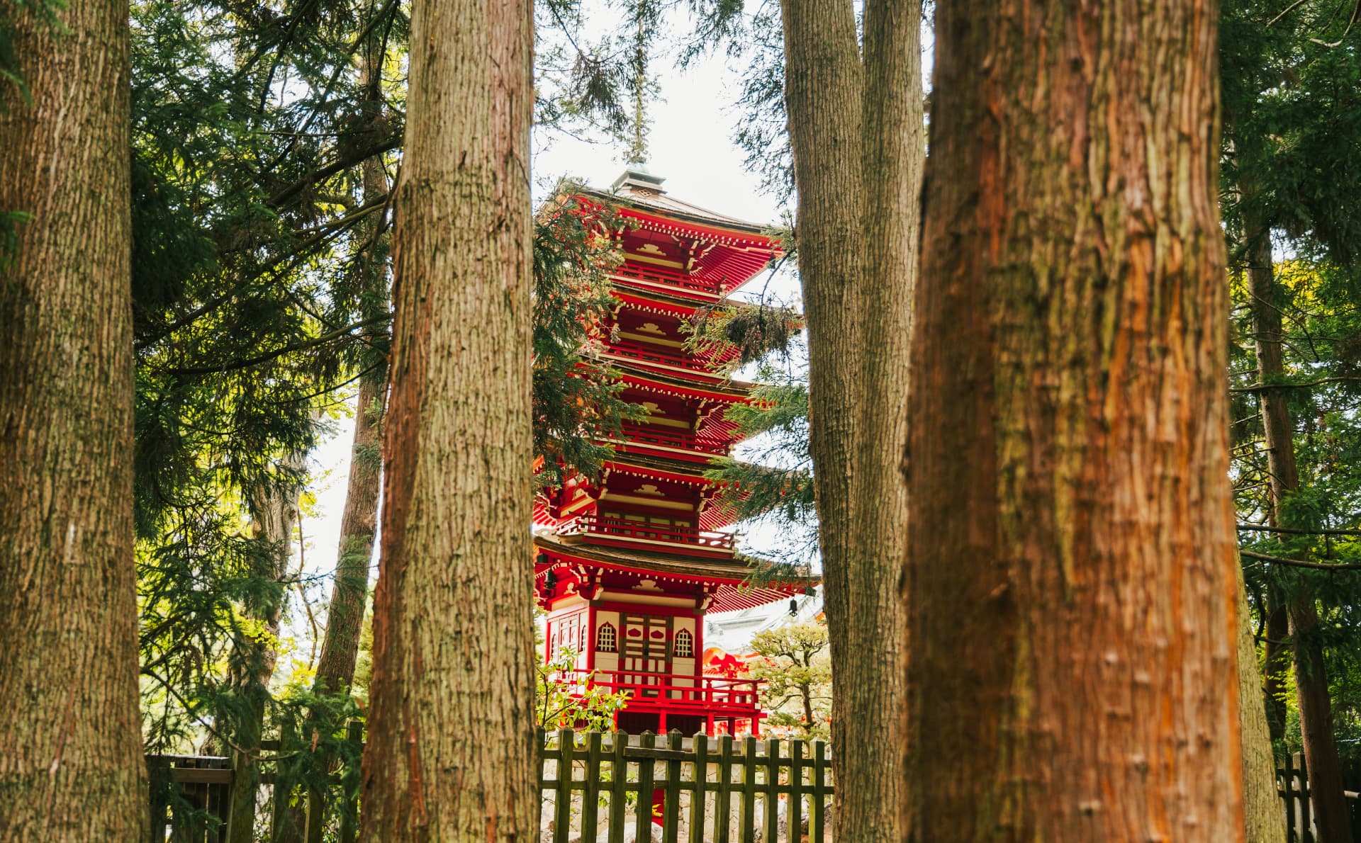 A red pagoda glimpsed between tall trees
