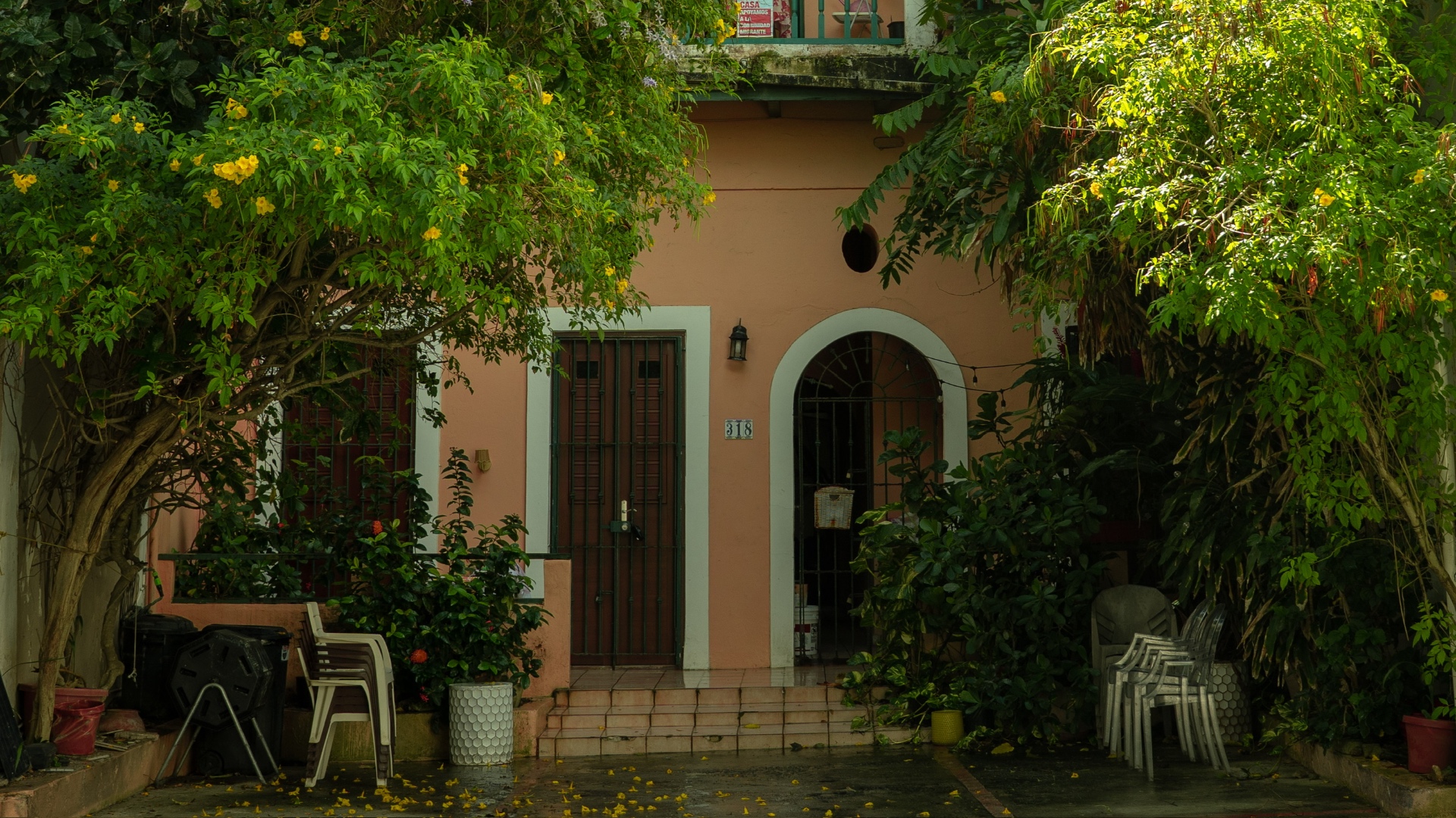 A pink colonial house behind flowering trees on a wet street